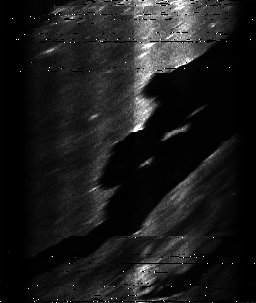 ascat_grayscale_ch1.png